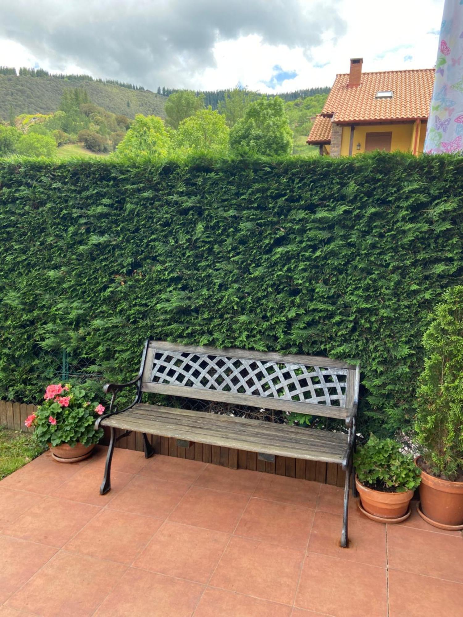 Precioso Chalet Junto A Potes Con Piscina-4 Hab,3 Banos 오헤도 외부 사진